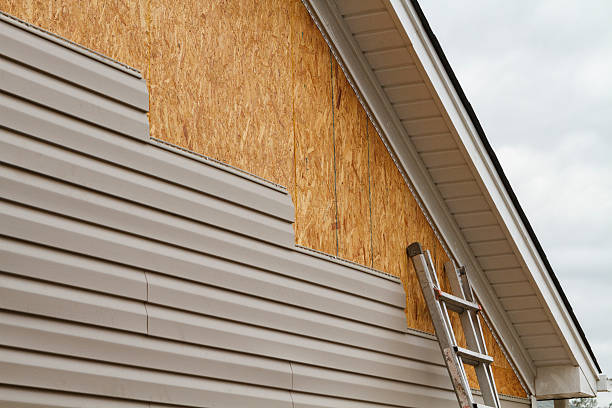Professional Siding Repair technician working in Metamora, IL